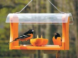 Bird's Choice Oriole Feeder w/Baltimore Orioles