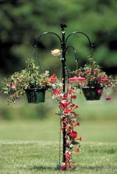 Hummer Feeder w/Hanging Plants on APS