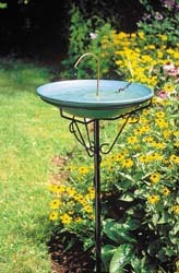 WBU Heated Birdbath on APS
