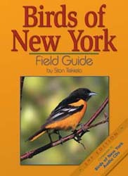 Birds of New York