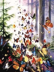 Nature Puzzles