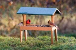 WBU Ground Feeder w/Cardinals