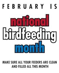 National Birdfeeding Month