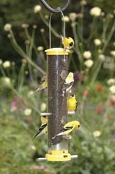 Quick-Clean Finch Feeders