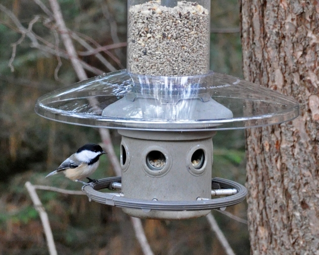 wild birds eliminator feeder