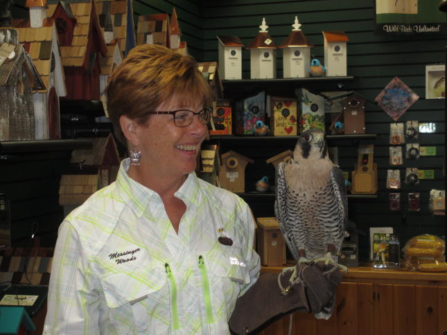 Marianne and Devlin the Peregrine Falcon