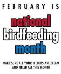 National Bird Feeding Month